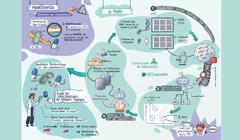 © FRQ, F.R.S. - FNRS / CpiG - L’IA mise à contribution dans la lutte contre les résistances aux antimicrobiens