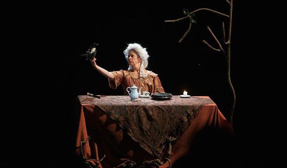 © Agnes_Limbos, Conversation avec un Jeunne Homme, FIMFA, Sao Luiz Teatro Municipal, 2013