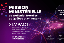 Mission ministérielle